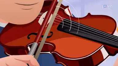 Frequency and Its Role in Pitch