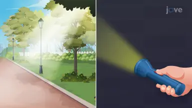 Dual Nature of Light