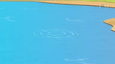 Mechanical Wave