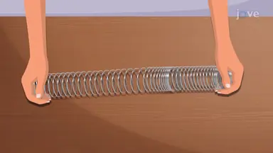Longitudinal Wave