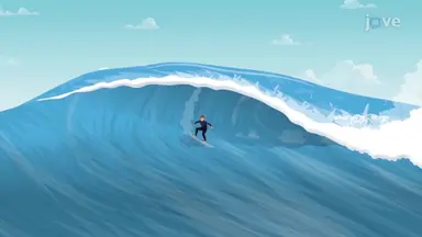 Surface Wave