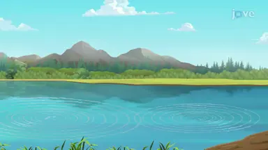 Wave Interference