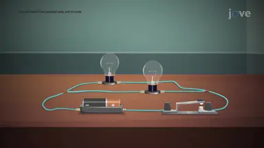Series and Parallel Circuit