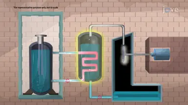 Nuclear Fission