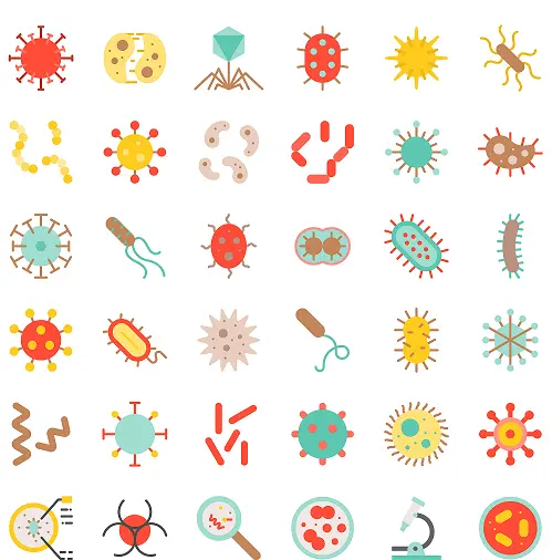 Collection-image