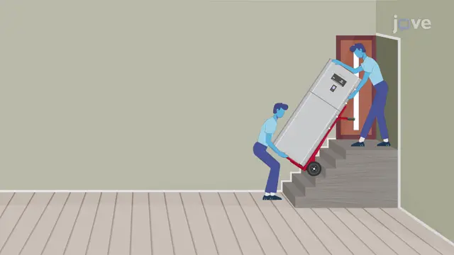 Work and Kinetic Energy