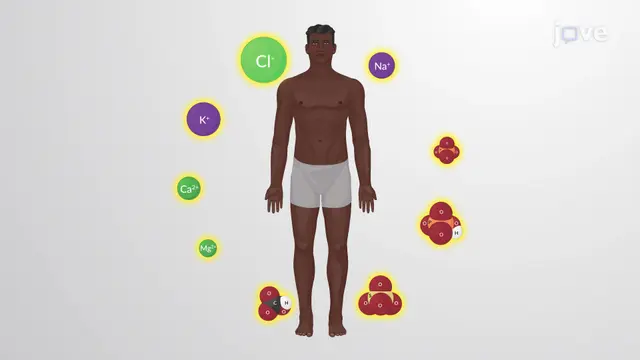 Biochemistry of the Cell