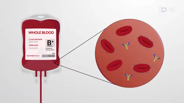 Blood