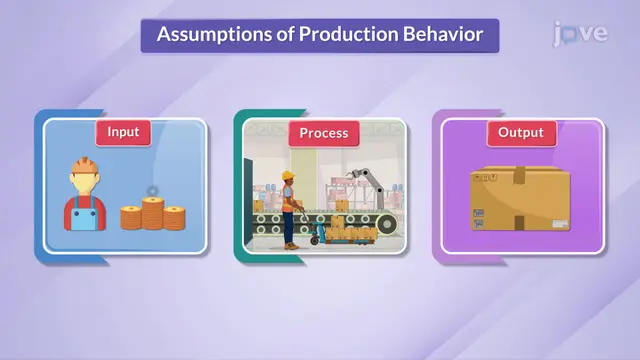 Producer Behavior