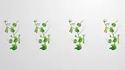 Classical and Modern Genetics