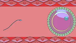 Reproduction and Development