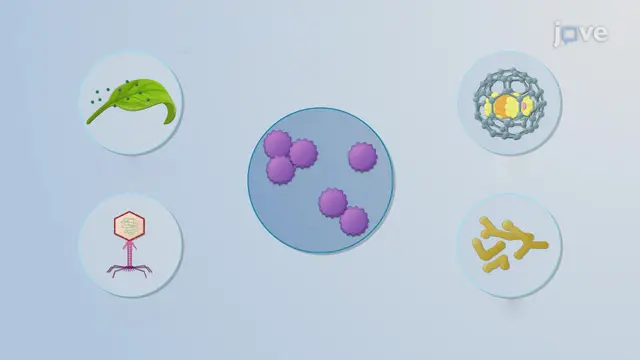Antimicrobial Agents