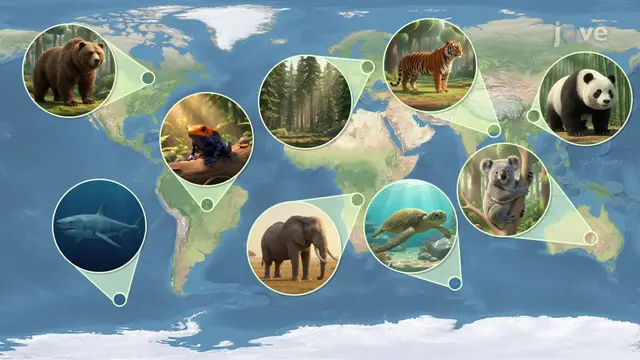 Diversity, Classification & Evolution