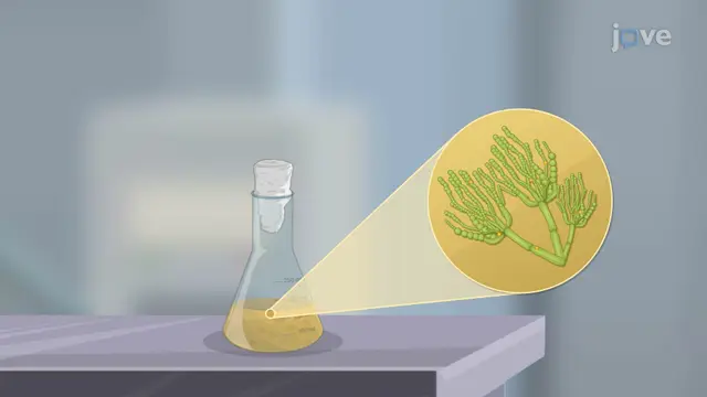 Industrial Microbiology