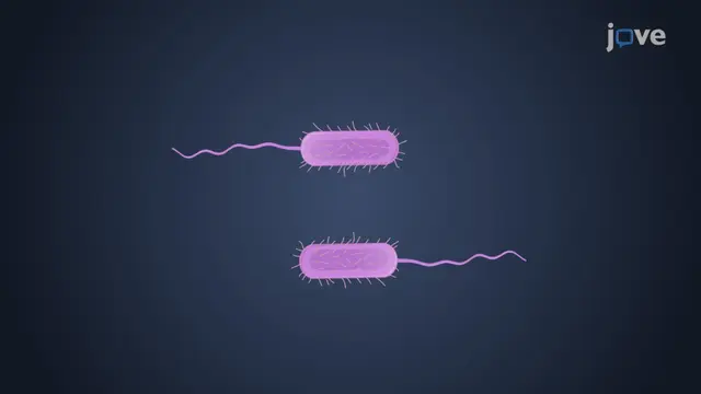 Microbial Cell Structure and Function