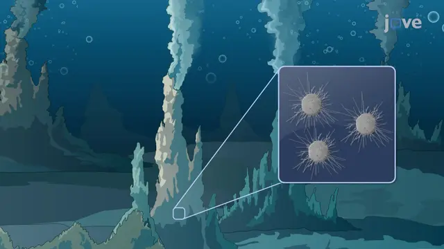 Microbial Diversity