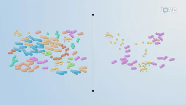 Microbial Evolution