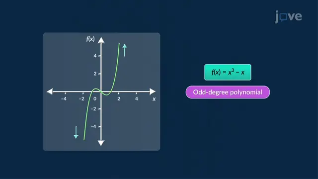 Polynomial and Rational Functions