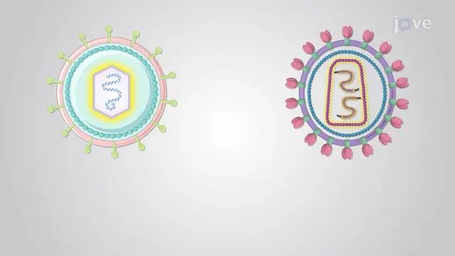 Viruses