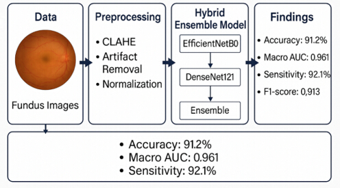 Robust Deep Learning Framework for Early Diabetic Retinopathy Detection ...