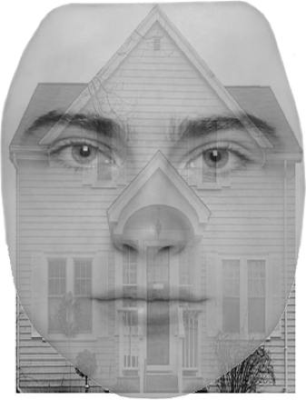 Optical illusion of a house and face; visual perception study; psychology research; diagram.