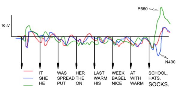 EEG waveform graph showing semantic processing with N400 effect and P560 peaks, language analysis.