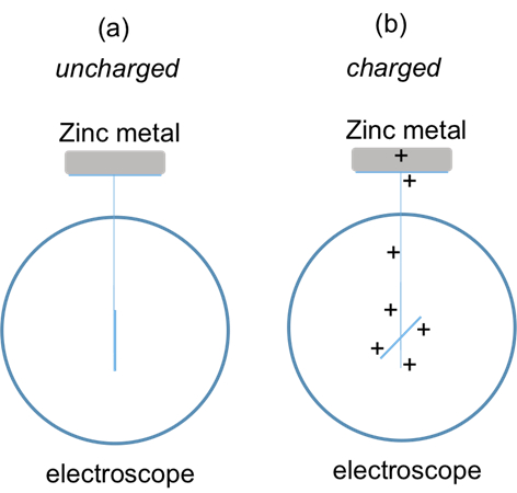 Electroscope diagram showing charge distribution with zinc metal: (a) uncharged, (b) charged.