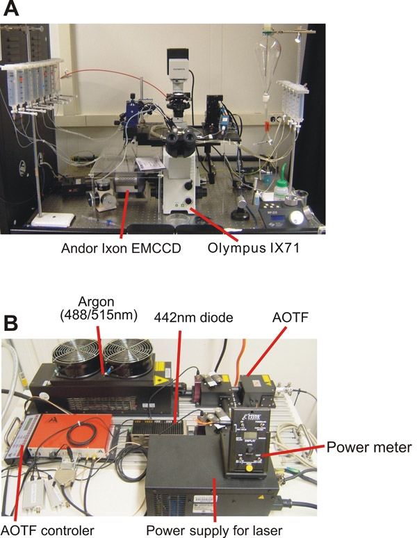 figure-protocol-2 Spectroscopy setup with Olympus IX71 microscope and Andor iXon EMCCD; includes AOTF and laser system.