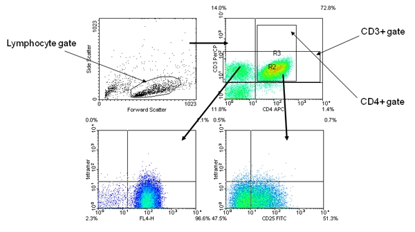 figure-protocol-3 Flow cytometry dot plot chart; lymphocyte gating, CD3+ and CD4+ cell analysis, fluorescence data.