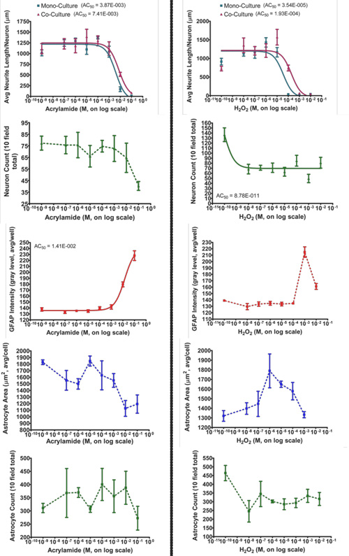 Neurite length and cell count graphs comparing acrylamide and H₂O₂ effects in co-culture conditions.