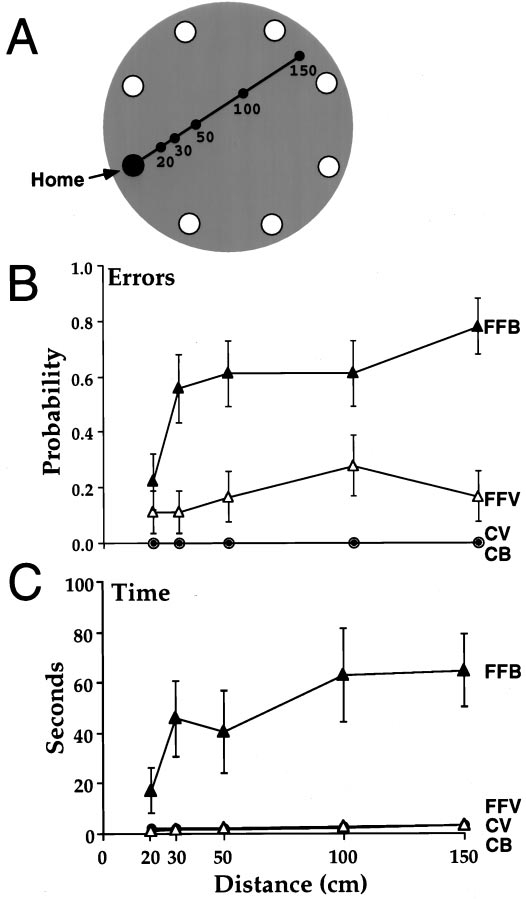 figure-protocol-4 Maze learning setup, error rates, time graphs for distance-based navigation study.