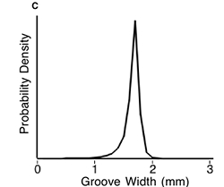 figure-protocol-11 Probability density graph; groove width vs. density, peaks at 2mm for data analysis.