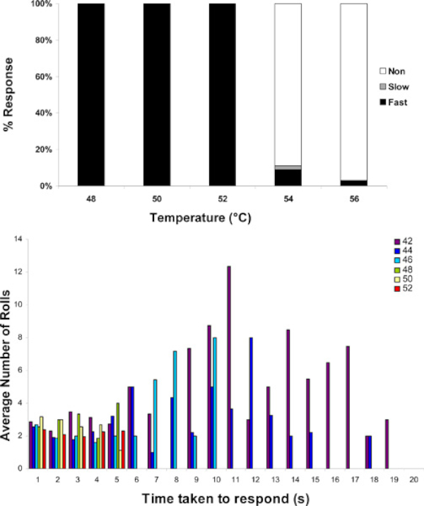 figure-results-2