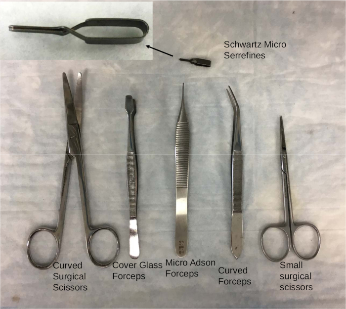 figure-results-1 Surgical tool set includes scissors and forceps on sterile surface; essential for medical procedures.