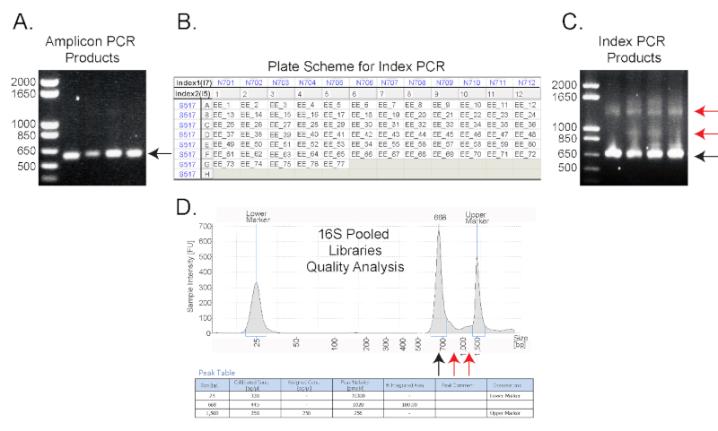 figure-results-2