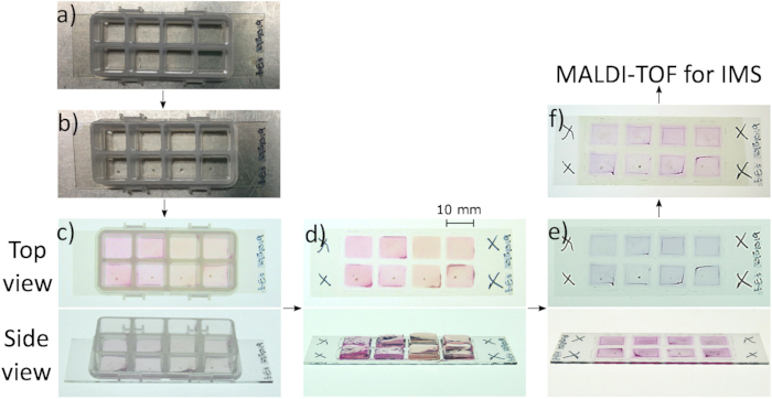MALDI-TOF IMS sample preparation process; slide views show experimental setup and analysis steps.