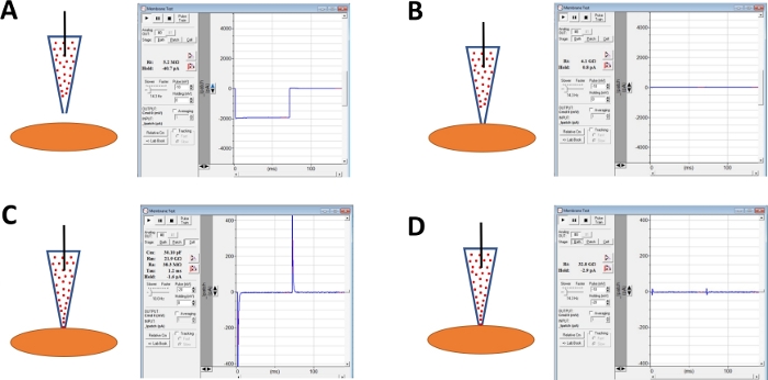 Atomic force microscopy process with force-distance curves; diagram displaying measurement results.