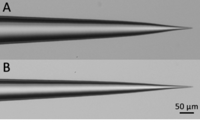 figure-results-1