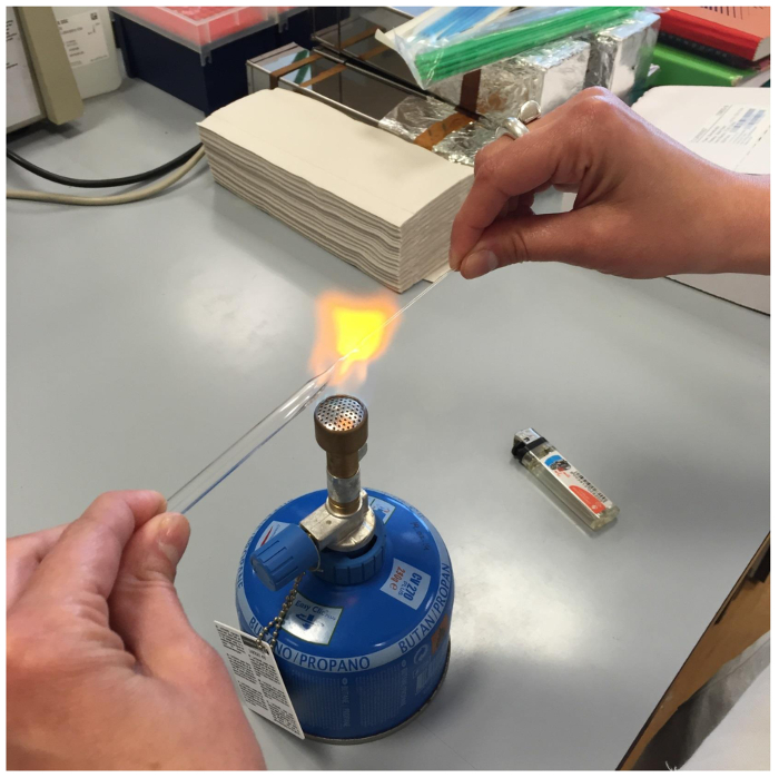 Bunsen burner flame test experiment; heating glass rod; laboratory technique demonstration.