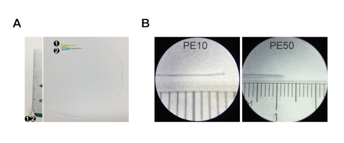 Catheter measurement setup, microscopy images of catheter tips (PE10, PE50) with scale for size comparison.