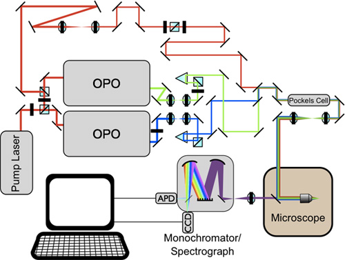 optical excitation diagram with OPOs, pump laser, spectrograph, results in microscope analysis