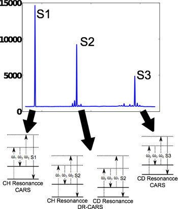 CARS spectral analysis diagram with CH and CD resonance setup, illustrating molecular vibrations.