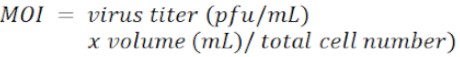 MOI formula; virus titer calculation, pfu/mL; experiment result, virology research, equation.