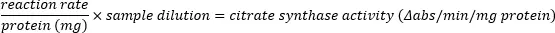 Citrate synthase activity equation, displaying protein reaction rate calculation formula for enzyme kinetics.