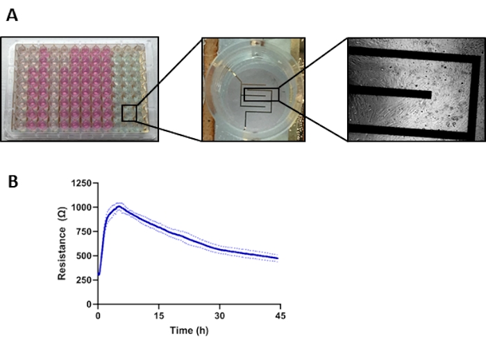 figure-results-1 Microfluidic device with resistance over time graph for cell culture analysis and data monitoring.