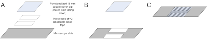 figure-results-1 Microscope slide setup diagram for functionalization process showing cover slip and double-sided tape.