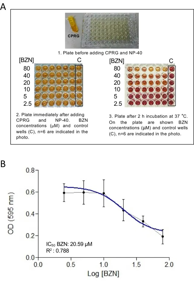 figure-results-1 CPRG assay diagram; BZN concentrations; 96-well plate; optical density graph; enzyme inhibition.