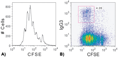 figure-protocol-2