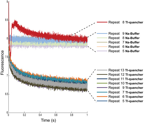 figure-protocol-6 Fluorescence decay diagram, comparing TI-quencher and Na-buffer, over time for spectroscopic analysis.