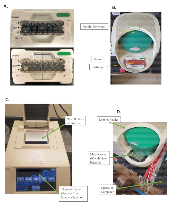 figure-results-1 Droplet digital PCR setup: droplet generator, thermal cycler, droplet reader for DNA analysis.